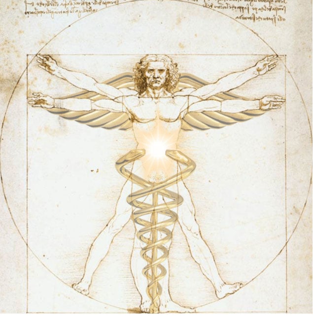 Aesthetic Evaluation